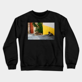 Street Cat in Bakar Crewneck Sweatshirt